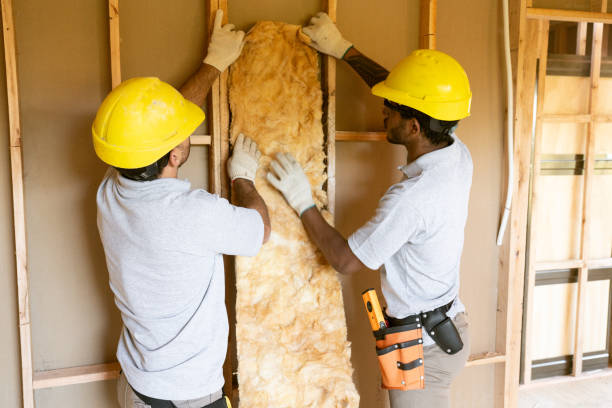 Types of Insulation We Offer in Blennerhassett, WV